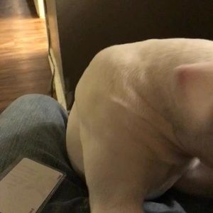 Meet your Posher, Everardo